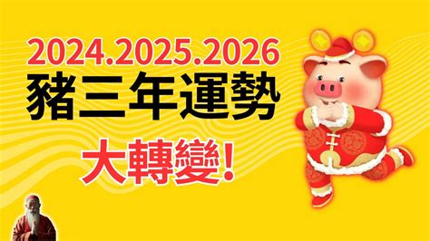 屬豬 幸運色|【2024屬豬幸運色】2024年屬豬者的幸運色與運勢攻略！點亮幸。